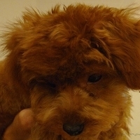 Kirby.2010.10.22-004.JPG