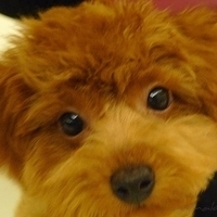 Kirby.2010.10.22-006.JPG