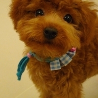 Kirby.2010.10.22-008.JPG