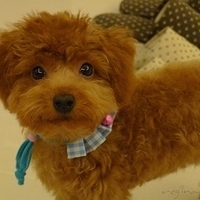 Kirby.2010.10.22-009.JPG