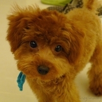 Kirby.2010.10.22-010.JPG