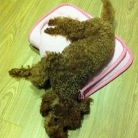 Kirby.2011.10.18-001.JPG