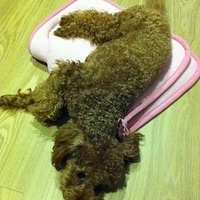 Kirby.2011.10.18-002.JPG