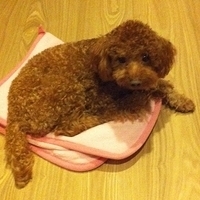 Kirby.2011.10.18-003.JPG