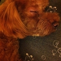 Kirby.2011.10.24-001.JPG