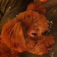 Kirby.2011.10.24-002.JPG