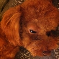 Kirby.2011.10.24-003.JPG