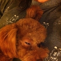 Kirby.2011.10.24-004.JPG