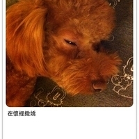 Kirby.2011.10.24-005.JPG