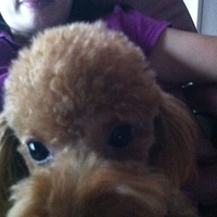 Kirby.2011.10.26-001.JPG