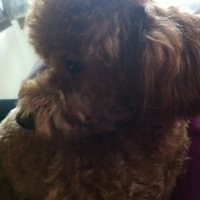 Kirby.2011.10.26-002.JPG