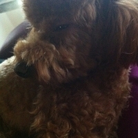 Kirby.2011.10.26-003.JPG