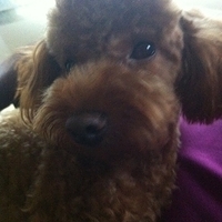 Kirby.2011.10.26-004.JPG