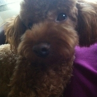 Kirby.2011.10.26-005.JPG
