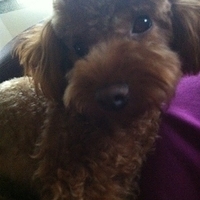 Kirby.2011.10.26-006.JPG