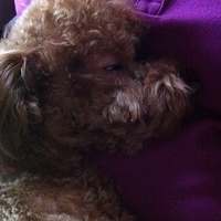 Kirby.2011.10.26-007.JPG