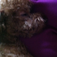 Kirby.2011.10.26-008.JPG
