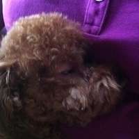 Kirby.2011.10.26-009.JPG