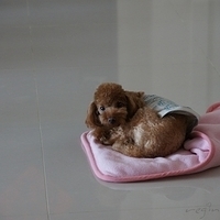 Kirby.2011.10.29-001.JPG