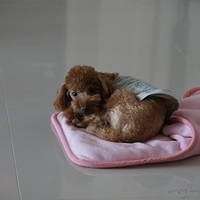 Kirby.2011.10.29-002.JPG