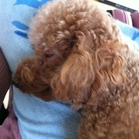 Kirby.2012.10.18-001.JPG