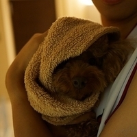Kirby.2012.10.24-001.JPG