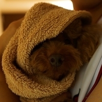 Kirby.2012.10.24-002.JPG