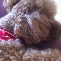 Kirby.2012.10.25-001.JPG