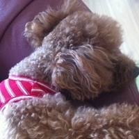Kirby.2012.10.25-002.JPG