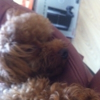 Kirby.2012.10.25-003.JPG