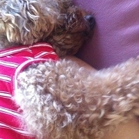 Kirby.2012.10.25-006.JPG