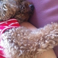 Kirby.2012.10.25-007.JPG