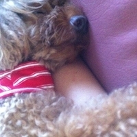 Kirby.2012.10.25-008.JPG