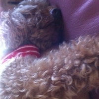 Kirby.2012.10.25-009.JPG