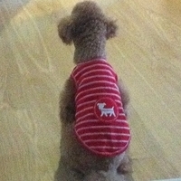 Kirby.2012.10.25-010.JPG