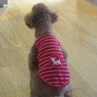 Kirby.2012.10.25-011.JPG
