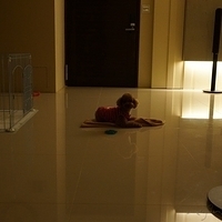 Kirby.2012.10.25-013.JPG