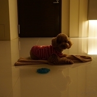 Kirby.2012.10.25-014.JPG