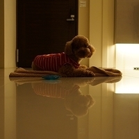 Kirby.2012.10.25-015.JPG