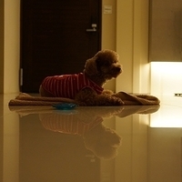 Kirby.2012.10.25-016.JPG