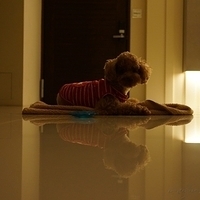 Kirby.2012.10.25-017.JPG
