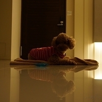 Kirby.2012.10.25-018.JPG