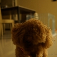 Kirby.2012.10.25-020.JPG