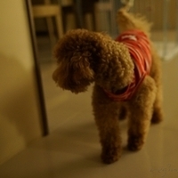 Kirby.2012.10.25-021.JPG