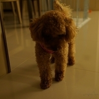 Kirby.2012.10.25-022.JPG