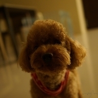 Kirby.2012.10.25-023.JPG