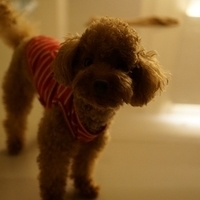 Kirby.2012.10.25-024.JPG
