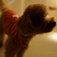 Kirby.2012.10.25-025.JPG