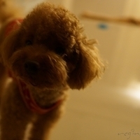 Kirby.2012.10.25-026.JPG