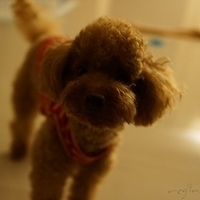 Kirby.2012.10.25-027.JPG